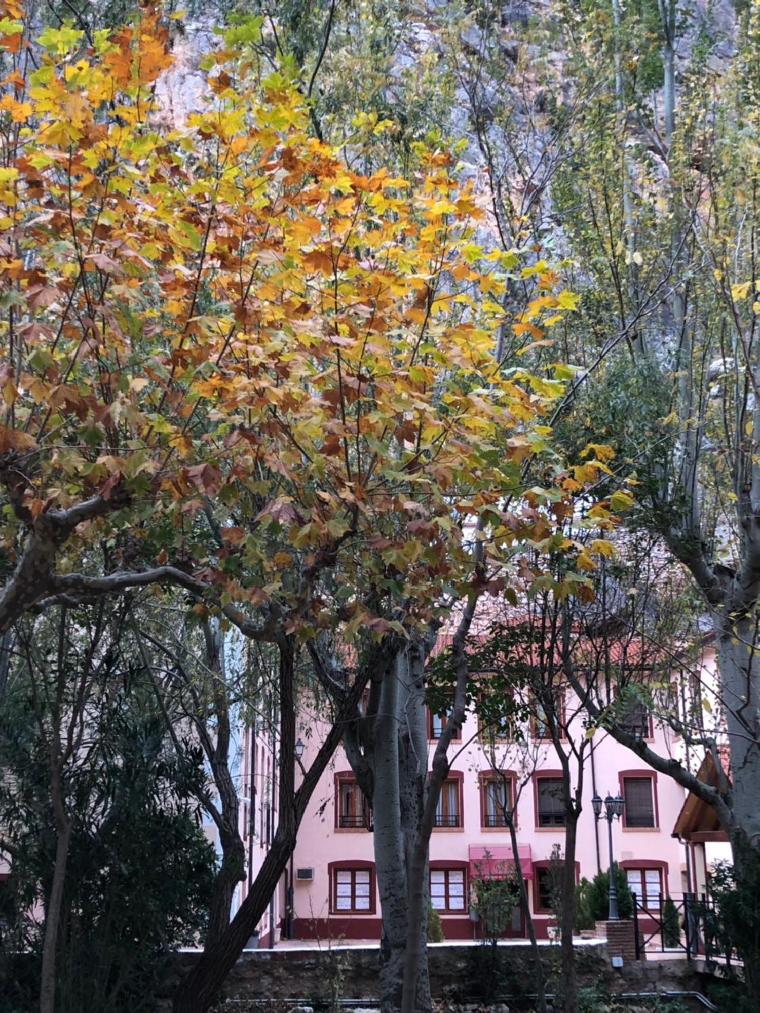 Hotel Balneario De La Virgen Jaraba Exterior foto